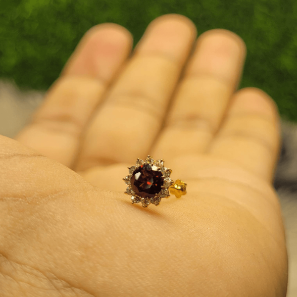 স্বনের নোস পিন