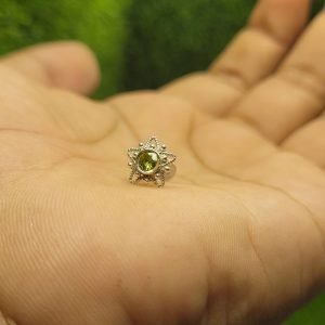 রুপার নোস পিন